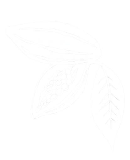 fsaperu.com